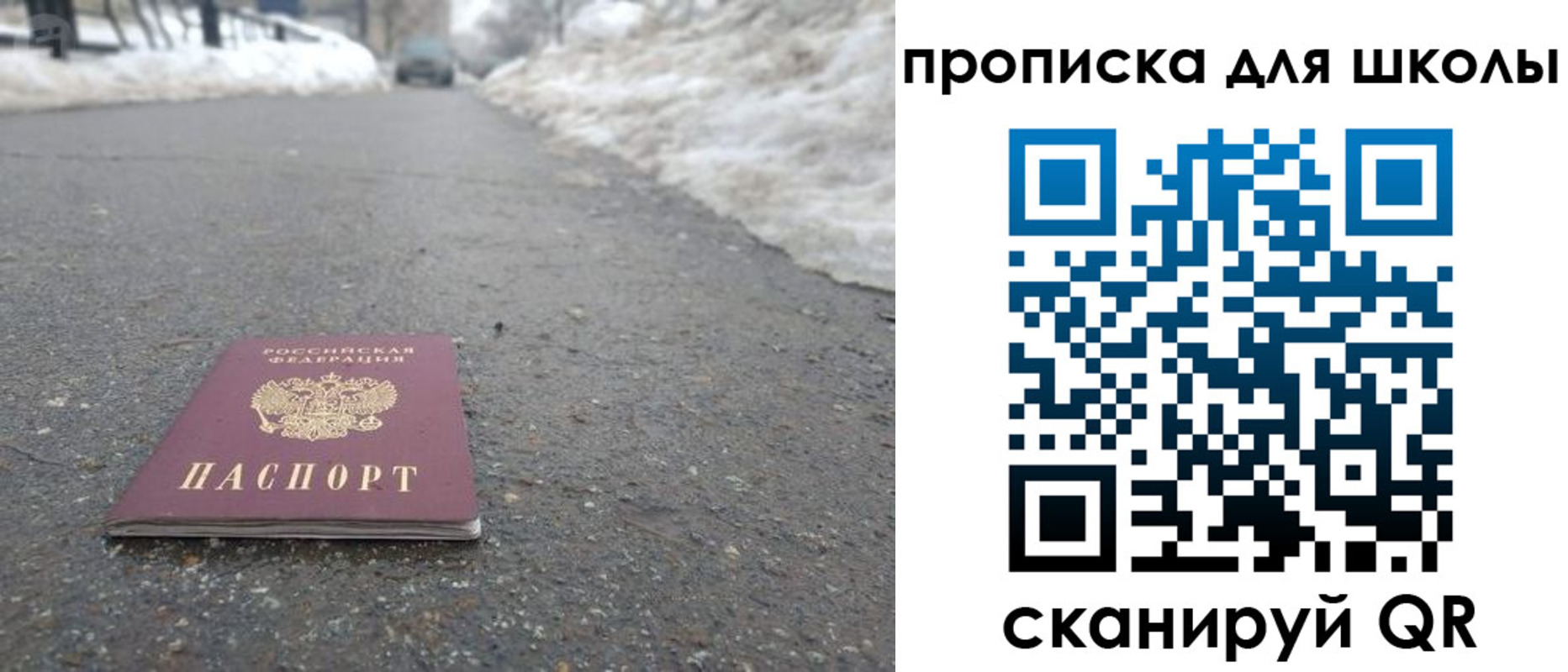 прописка для школы в Королёве